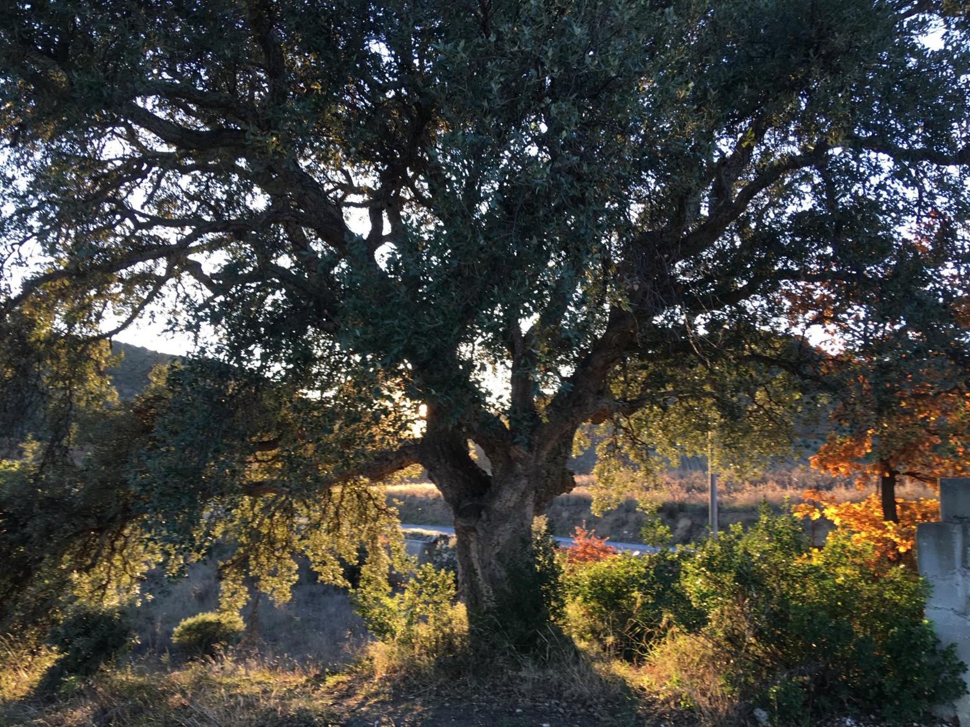 Coeur De Nature Rasigueres Esterno foto